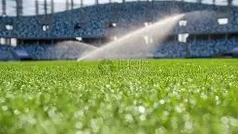 2025美洲杯小组赛分组结果正式公布